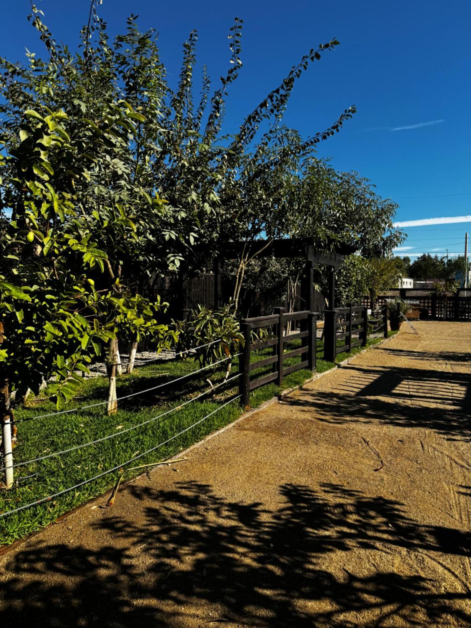 Estancita Elena Hotell Valle de Guadalupe Eksteriør bilde